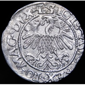Sigismund II Augustus, Half-penny 1559, Vilnius - L/LITV
