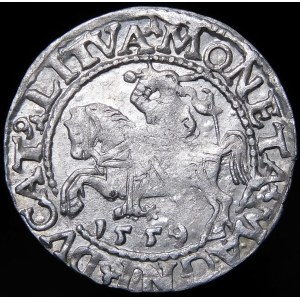 Žigmund II August, polgroš 1559, Vilnius - L/LITVA