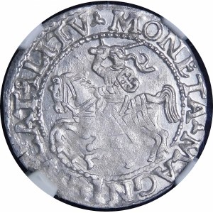 Sigismund II Augustus, Half-penny 1559, Vilnius - LI/LITV - rare