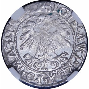 Zygmunt II August, Półgrosz 1559, Wilno - LI/LITV - rzadki