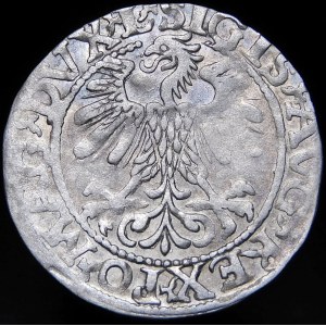 Žigmund II August, polgroš 1560, Vilnius - DVX L/LITV