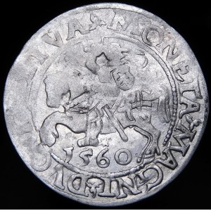 Sigismund II Augustus, halber Pfennig 1560, Vilnius - DVX-L/LITVA - Rosette - sehr selten