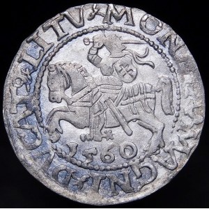 Sigismund II. Augustus, halber Pfennig 1560, Vilnius - DVX L/LITV