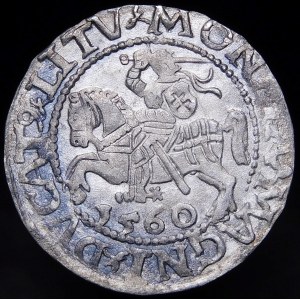 Žigmund II August, polgroš 1560, Vilnius - DVX L/LITV