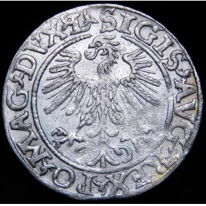 Zygmunt II August, Półgrosz 1560, Wilno - DVX L/LITV