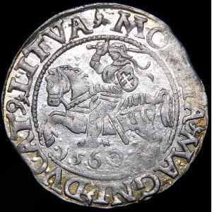 Zikmund II Augustus, půlgroš 1560, Vilnius - DVX L/LITVA - rozeta - vzácné