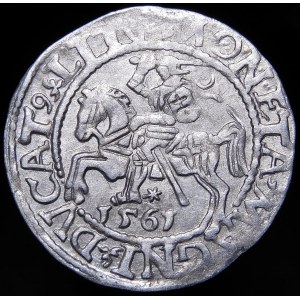 Sigismund II Augustus, Halbpfennig 1561, Wilna - 13 Adler, L/LITV