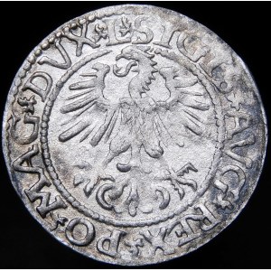 Zikmund II August, půlpenny 1561, Vilnius - 14 orlů, L/LITV