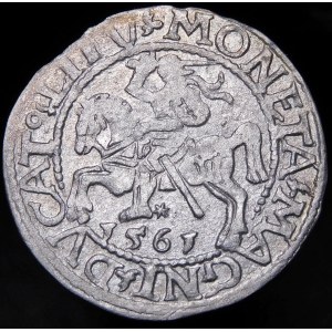 Zikmund II Augustus, půlpenny 1561, Vilnius - 14 orlů, L/LITV - A bez příčky - vzácné