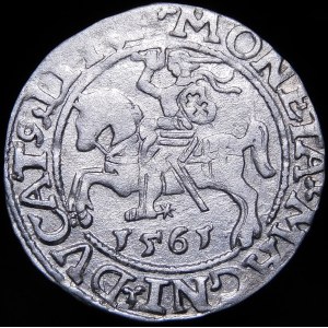 Sigismund II Augustus, Halbpfennig 1561, Wilna - 14 Adler, L/LITVA