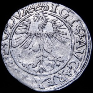 Sigismund II Augustus, Half-penny 1561, Vilnius - 14 Eagle, L/LITVA