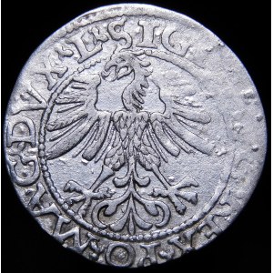 Žigmund II August, Polovičný groš 1562, Vilnius - 17 Pogoń, L/LITV