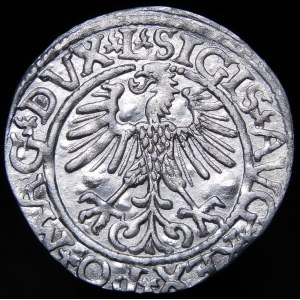 Sigismund II Augustus, Halbpfennig 1561, Wilna - 14 Adler, L/LITVA