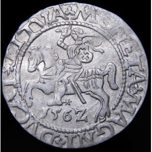 Sigismund II. Augustus, Halbpfennig 1562, Wilna - 17 Pogon, L/LITVA