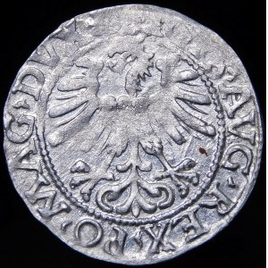 Sigismund II. Augustus, Halbgrosse 1562, Vilnius - 18 Pogoń, L/LITV - Nr. 9