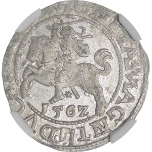 Zygmunt II August, Półgrosz 1562, Wilno - 18 Pogoń, Topór, DVX L/LITV