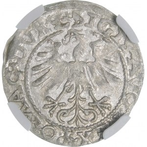 Sigismund II Augustus, Half-grosz 1562, Vilnius - 18 Pogon, Axe, DVX L/LITV