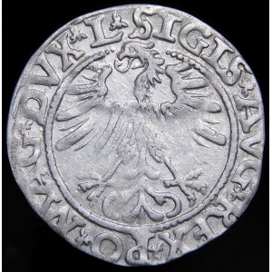 Zygmunt II August, Półgrosz 1563, Wilno - 18 Pogoń, Topór, DVX L/LITV