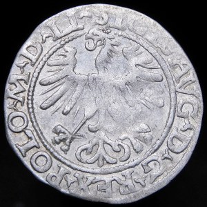 Zikmund II August, půlpenny 1563, Vilnius - 20 Pogon, sekera, M D LI/LITVA