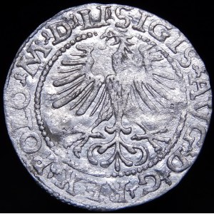 Zygmunt II August, Półgrosz 1564, Wilno - 21 Pogoń, Topór, LI/LITVA