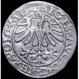 Žigmund II August, polgroš 1565, Vilnius - 22 Pogon, sekera, L/LITV