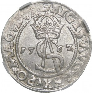 Sigismund II. Augustus, Trojak 1562, Vilnius