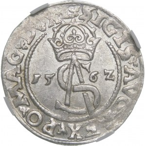 Zygmunt II August, Trojak 1562, Wilno