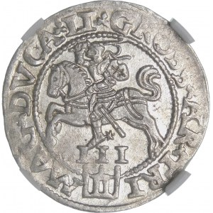 Sigismund II. Augustus, Trojak 1562, Vilnius