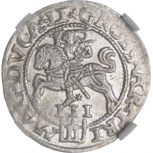 Sigismund II Augustus, Trojak 1562, Vilnius