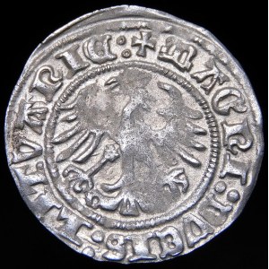 Zikmund I. Starý, půlpenny 1511, Vilnius - dvojtečka