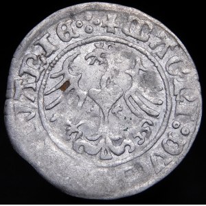Zikmund I. Starý, půlpenny 1516, Vilnius - kruhy a půlměsíc - velmi vzácné