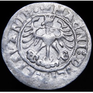 Sigismund I the Old, Half-penny 1519, Vilnius - 6 feathers - error, SIGISMVNID - rare