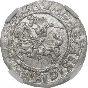 Sigismund I the Old, Half-penny 1527, Vilnius - SIGISMVANDI, LITVAИDIE errors - beautiful and very rare