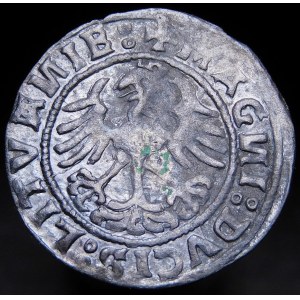 Zikmund I. Starý, půlpenny 1520, Vilnius - chyba, SIGISMVANDI I5Z0, punc - velmi vzácné