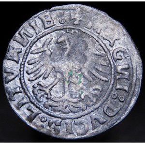 Sigismund I the Old, Half-penny 1520, Vilnius - error, SIGISMVANDI I5Z0, punch - very rare