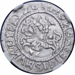 Sigismund I. der Alte, Halbpfennig 1528, Wilna - ohne V - MOИEA-Fehler - sehr selten