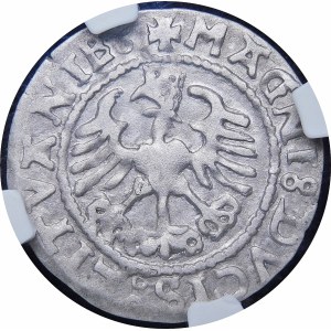 Sigismund I the Old, Half-penny 1528, Vilnius - Without V - MOИEA error - very rare