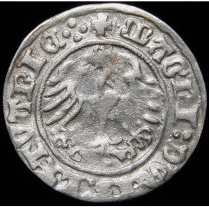 Sigismund I. der Alte, Halbpfennig 1510, Vilnius - große Null, vier Punkte