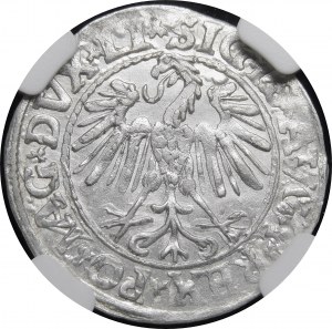 Zygmunt II August, Półgrosz 1547, Wilno - LI/LITVA