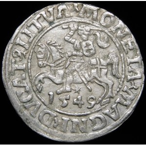 Sigismund II Augustus, Halbpfennig 1549, Wilna - 9 Pogon, LI/LITVA