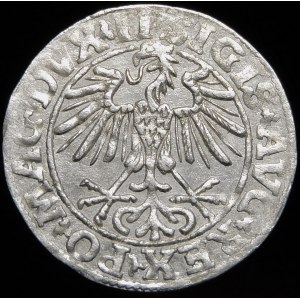 Sigismund II Augustus, Half-penny 1550, Vilnius - LI/LITVA