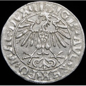 Sigismund II. Augustus, Halbpfennig 1550, Wilna - LI/LITVA