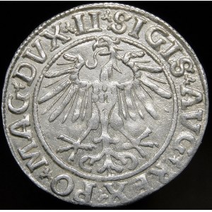 Zygmunt II August, Półgrosz 1551, Wilno - LI/LITVA - piękny