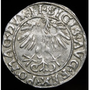 Zikmund II August, půlpenny 1556, Vilnius - LI/LITVA - kuriozita