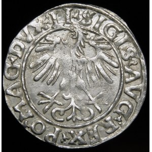 Zygmunt II August, Półgrosz 1556, Wilno - LI/LITVA - ciekawostka