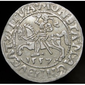 Sigismund II Augustus, Halbpfennig 1557, Wilna - LI/LITVA - schön