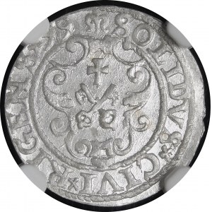Zygmunt III Waza, Szeląg 1599, Ryga - wyśmienity