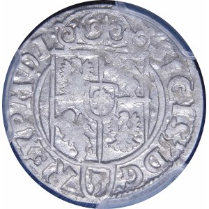Sigismund III. Vasa, Półtorak 1623, Bydgoszcz - Sachse im ovalen Schild