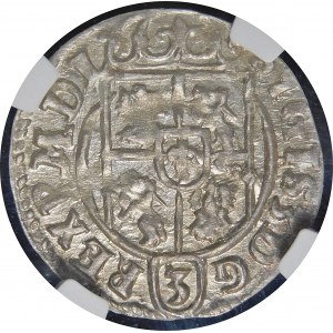 Sigismund III Vasa, Half-track 1624, Bydgoszcz - Saxon in oval shield