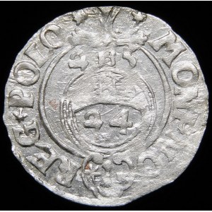 Sigismund III Vasa, Half-track 1625, Bydgoszcz - Saxon in oval shield